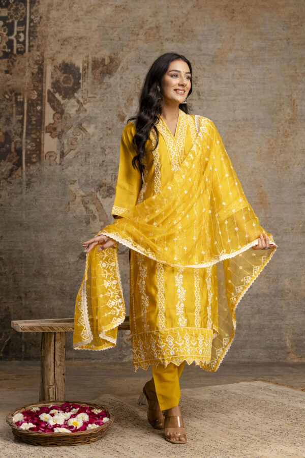 Pakistani Charm Kurti Set - Image 6