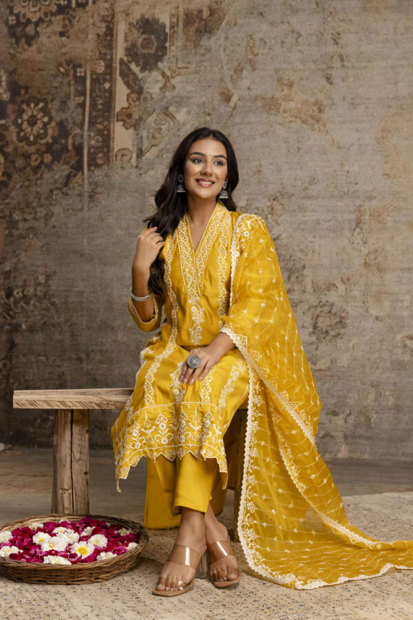Pakistani Charm Kurti Set - Image 4