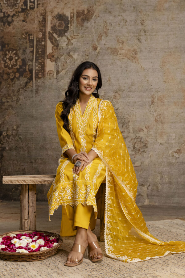 Pakistani Charm Kurti Set - Image 3
