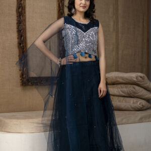 Mirror Worked Crop Top with Skirt &  NET Dupatta
