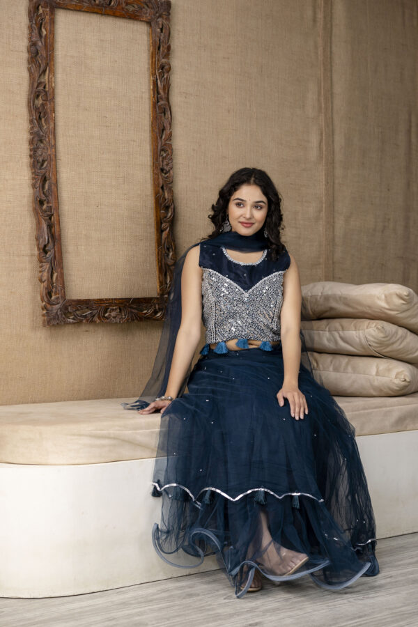 Mirror Worked Crop Top with Skirt &  NET Dupatta - Image 6