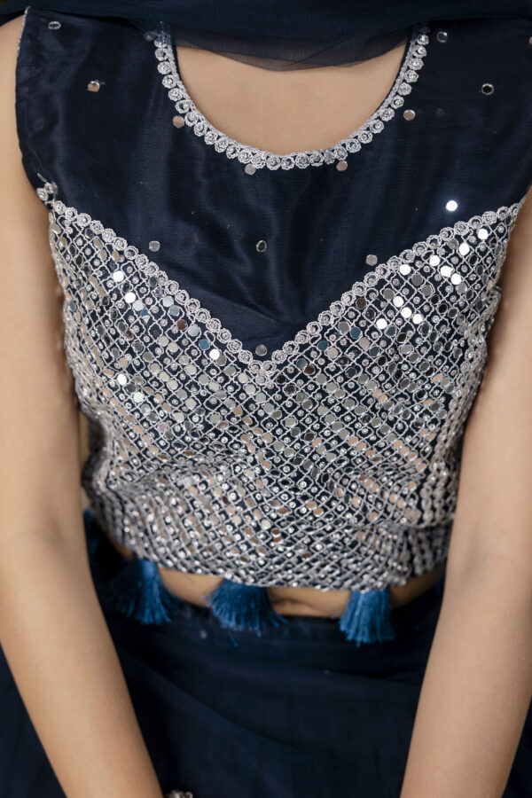 Mirror Worked Crop Top with Skirt &  NET Dupatta - Image 2